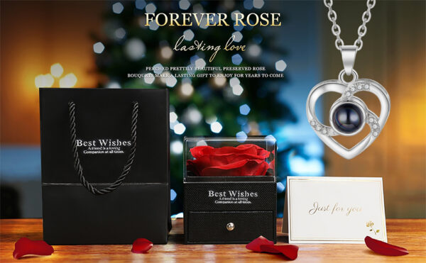 100 Languages I Love You Projection Necklace for Women, Elegant, Versatile, High-End Clavicle Necklace