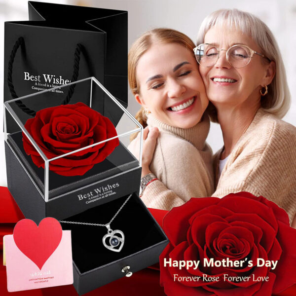 100 Languages I Love You Projection Necklace for Women, Elegant, Versatile, High-End Clavicle Necklace